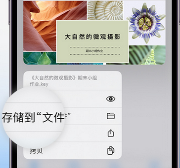 石林apple维修中心分享iPhone文件应用中存储和找到下载文件