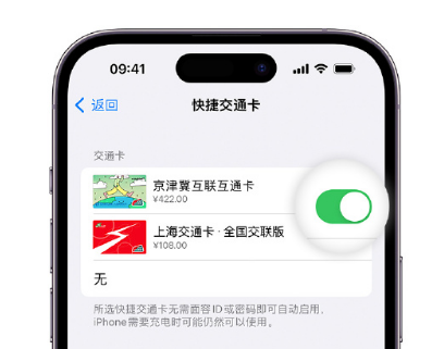 石林apple维修点分享iPhone上更换Apple Pay快捷交通卡手绘卡面 