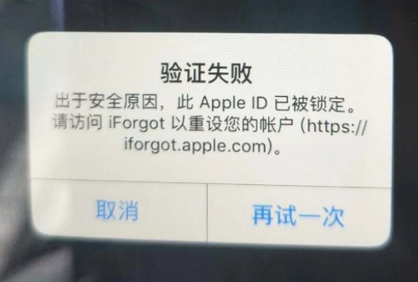 石林iPhone维修分享iPhone上正常登录或使用AppleID怎么办 