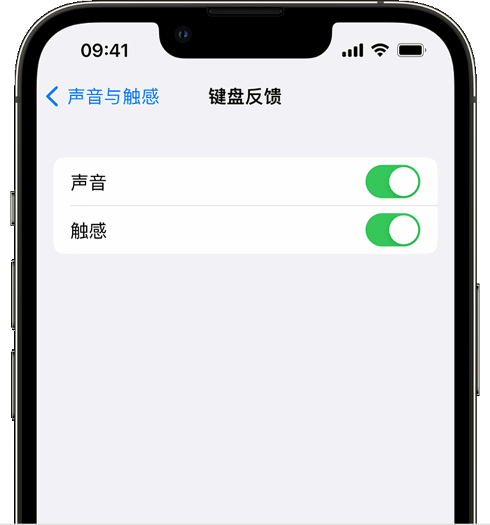 石林苹果14维修店分享如何在 iPhone 14 机型中使用触感键盘 