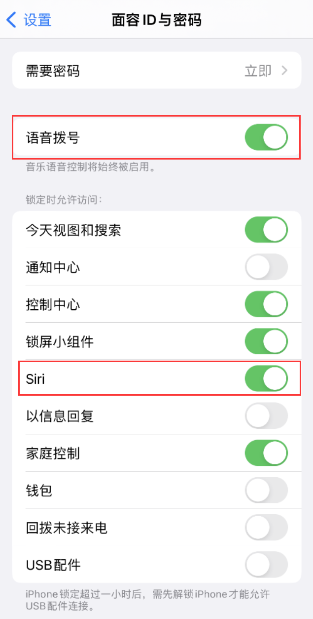 石林苹果维修网点分享不解锁 iPhone 的情况下通过 Siri 拨打电话的方法 