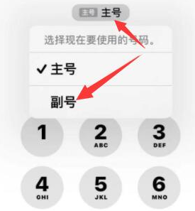 石林苹果14维修店分享iPhone 14 Pro Max使用副卡打电话的方法 