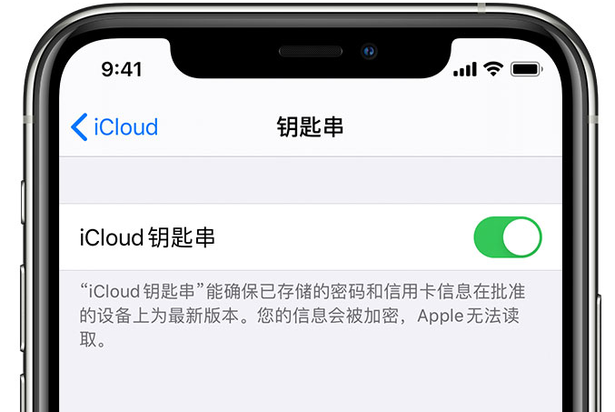 石林苹果手机维修分享在 iPhone 上开启 iCloud 钥匙串之后会储存哪些信息 