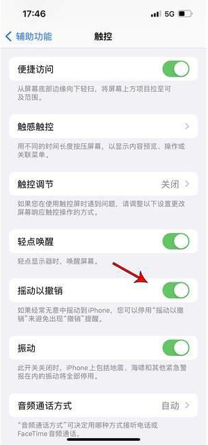 石林苹果手机维修分享iPhone手机如何设置摇一摇删除文字 